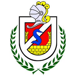 康塞普西翁大学